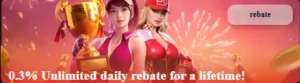 0.3% daily rebate for life. TKB288